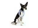 curli Geschirr Vest Air-Mesh 2XS SE24, Elemental-Blue