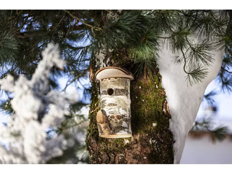 Windhager Nistkasten Wildkogel 17 x 14 x 26 cm, natur, FSC