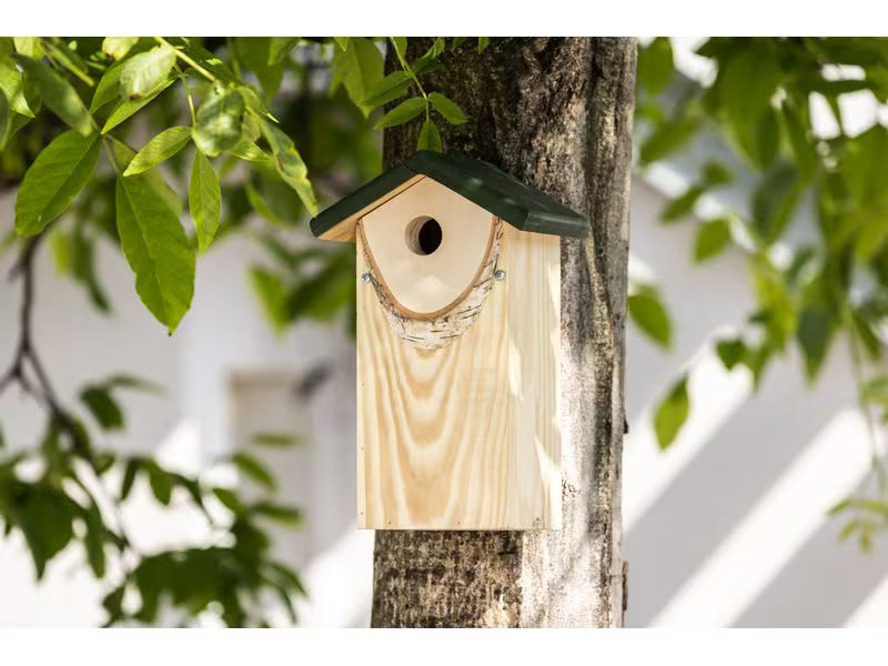 Windhager Nistkasten Mountain Lodge 32 x 17 x 19 cm, natur, FSC