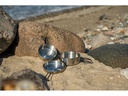 Easy Camp Tour Cook Set