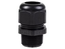 FTM Wassersprinkler Rakete