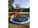 Nobby Hundepool Splash, Ø 150 cm