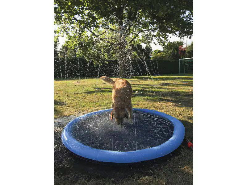 Nobby Hundepool Splash, Ø 150 cm
