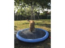 Nobby Hundepool Splash, Ø 150 cm