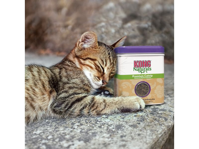 Kong Nachfüller Naturals Catnip 56 g