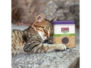 Kong Nachfüller Naturals Catnip 56 g