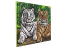 CRAFT Buddy Bastelset Crystal Art Kit Tigers 40 x 50 cm