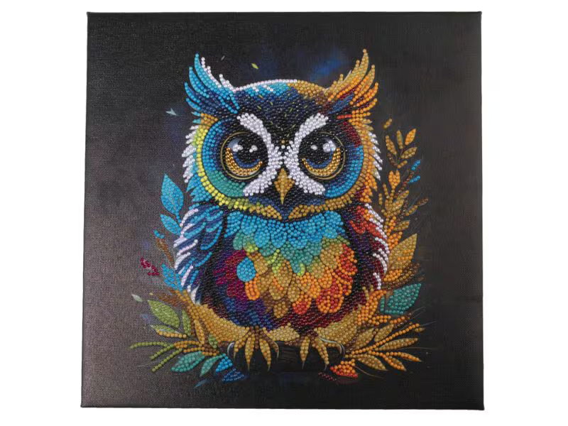 CRAFT Buddy Bastelset Crystal Art Kit Eule