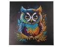 CRAFT Buddy Bastelset Crystal Art Kit Eule
