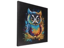 CRAFT Buddy Bastelset Crystal Art Kit Eule