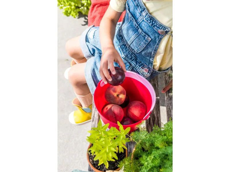 Quut Eimer Bucki – Red Cherry 2 Teile