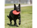 Kong Hunde-Spielzeug Flyer Frisbee, Ø 23 cm, rot