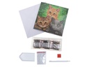 CRAFT Buddy Bastelset Crystal Art Card Katzen