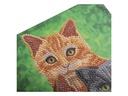 CRAFT Buddy Bastelset Crystal Art Card Katzen