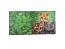 CRAFT Buddy Bastelset Crystal Art Card Katzen