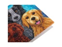CRAFT Buddy Bastelset Crystal Art Card Hunde