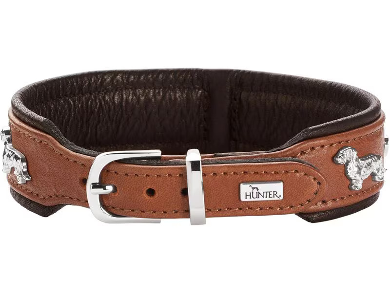 Hunter Teckel-Halsband München 42/S, Rindsleder, Cognac/Schwarz