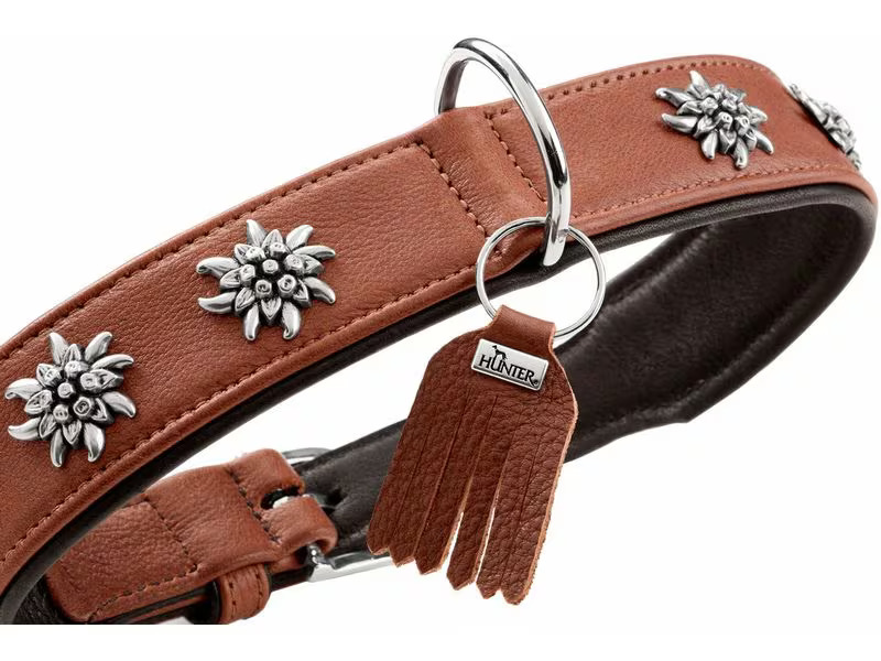 Hunter Halsband München 37/XS-S, Rindsleder, Cognac/Schwarz