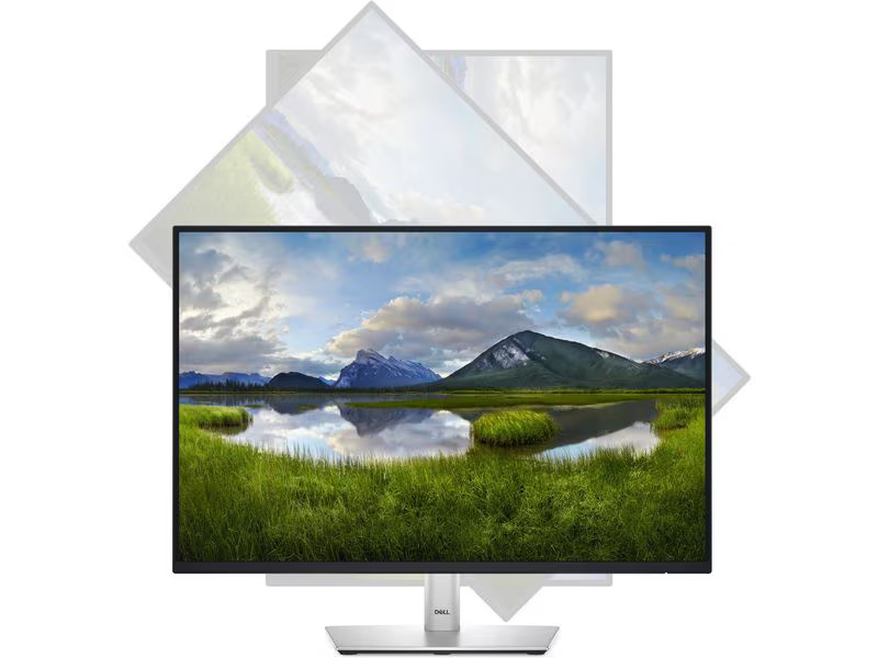 DELL Monitor P2425