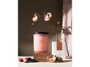 ipuro Duftkerze Orchidee 270 g