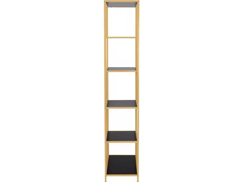 AC Design Regal Seaford 77 x 35 x 185 cm, Gold/Schwarz