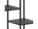 AC Design Regal Newcastle 79,5 x 30 x 165 cm, Schwarz