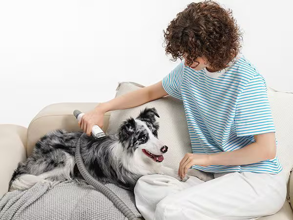 Neakasa P0 Pro Hundeschermaschine, 5in1 mit Staubsauger