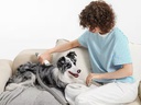 Neakasa P0 Pro Hundeschermaschine, 5in1 mit Staubsauger