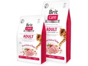 Brit Trockenfutter Care Grain-Free Activity, 2 kg
