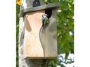 Wildlife World Cavity Nistkasten by Simon King