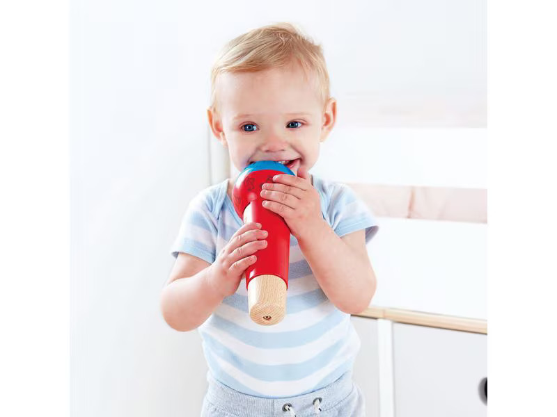 Hape Musikspielzeug Echo-Mikrofon