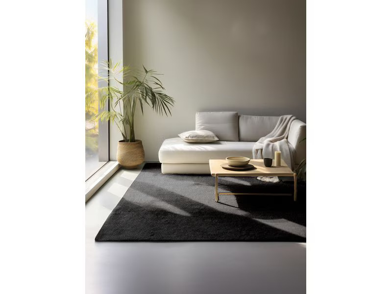 Hanse Home Teppich Jaipur 160 cm x 230 cm, Schwarz