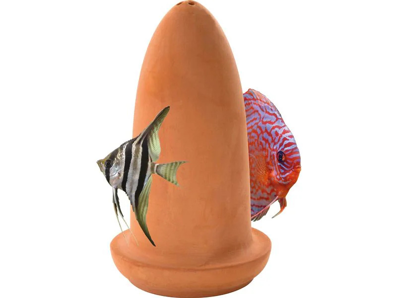 SuperFish Ablaichkegel