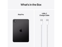 Apple iPad Pro 11 M4 Nano WiFi 2024 1000 GB Space Schwarz