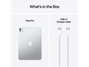 Apple iPad Pro 11 M4 Nano Cellular 2024 2000 GB Silber