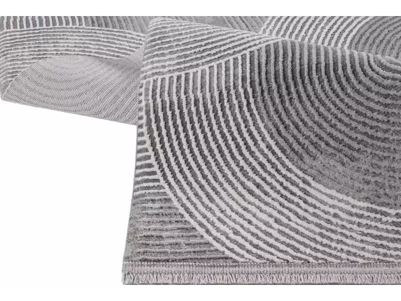 Conceptum Hypnose Teppich Leo 2961 100 cm x 200 cm, Grau