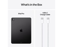 Apple iPad Pro 13 M4 WiFi 2024 1000 GB Space Schwarz