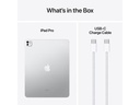 Apple iPad Pro 13 M4 Nano WiFi 2024 1000 GB Silber