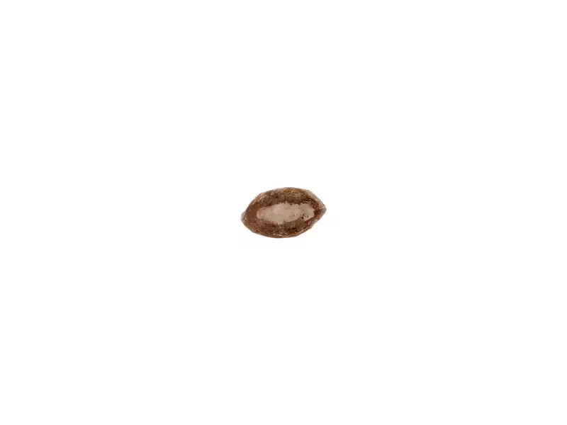 Lucky Lou Katzen-Snack Lucky Ones Krunchy Krisps Milch, 6 x 60g