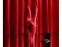 Mandatus Kerze Candle Hand Victory, Rot