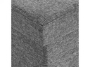 Songmics Truhe mit Klappdeckel 110 x 38 x 38 cm, Dunkelgrau