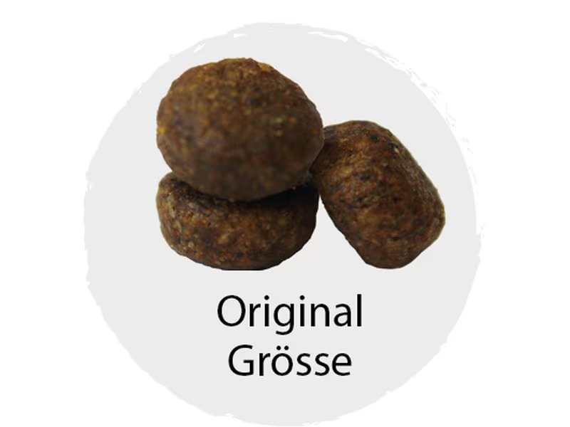 kyli Trockenfutter FreshNature Nr. 23 Deer Potato, 15 kg