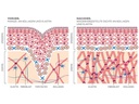 Silk'n Antiaging-Gerät FaceTite Revive Cordless Weiss