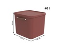 Rotho Aufbewahrungsbox Maloja 40 l, Iron rot