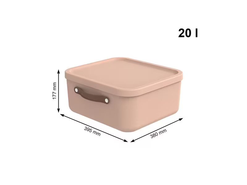 Rotho Aufbewahrungsbox Maloja 20 l, Meadow Rose