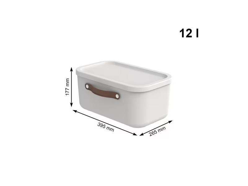 Rotho Aufbewahrungsbox Maloja 12 l, Mistletoe Weiss