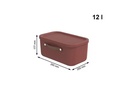 Rotho Aufbewahrungsbox Maloja 12 l, Iron Rot