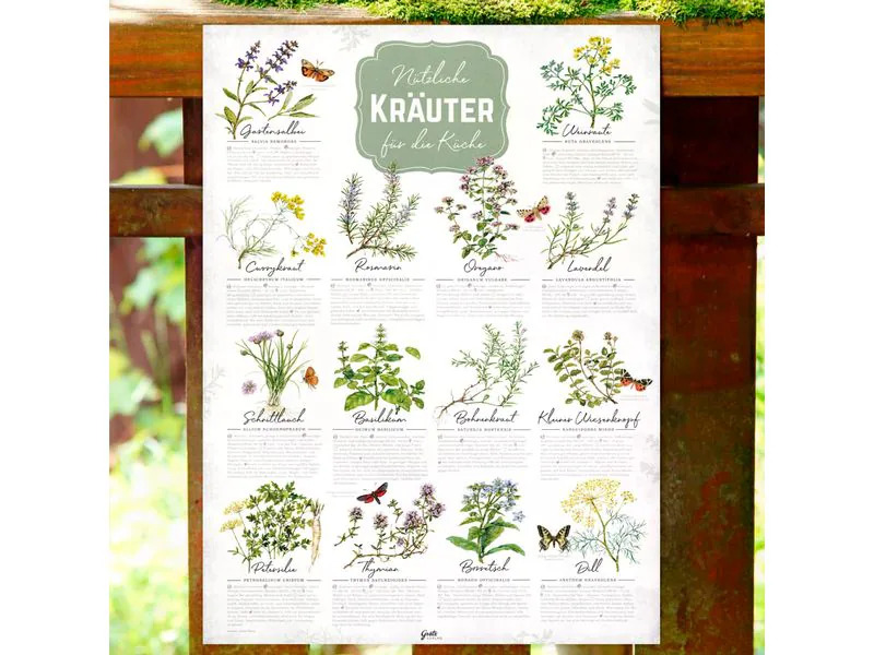 Grätz Poster Grätz Poster Kräuter A2 gerollt