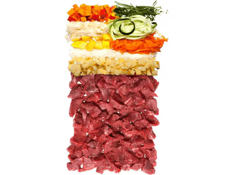Terra Canis Trockenfutter Canireo Wild, 2.5 kg