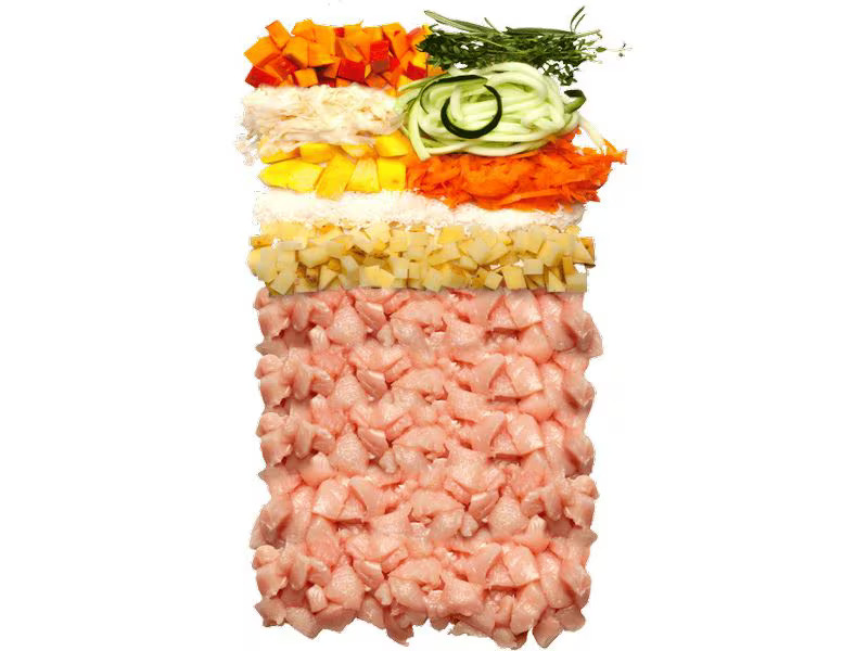 Terra Canis Trockenfutter Canireo Huhn, 2.5 kg